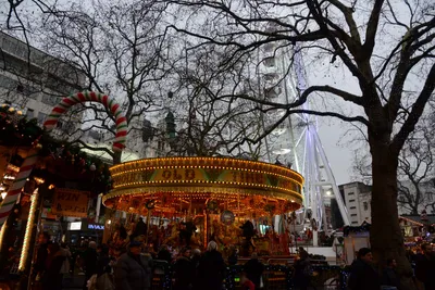 DSC_5935 (Large).JPG